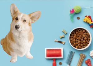 Increase sales of your Pet store by using eRetail Cybertech Point of sale